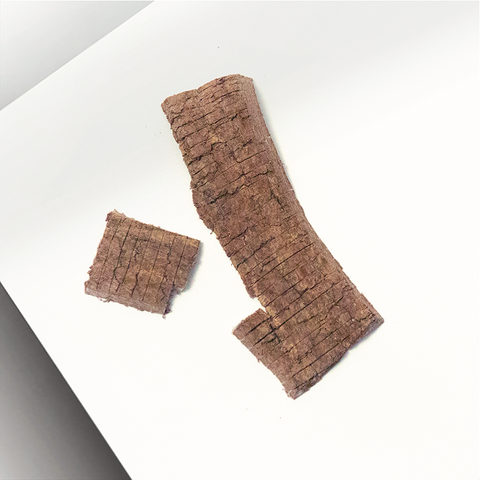 Sai Hing 5M Bark of Eucommia 世兴5厘杜仲丝