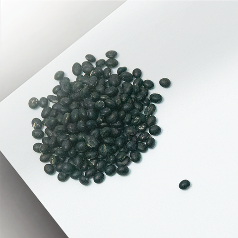 Sai Hing Black Bean (Green Flesh) 世兴黑豆 350g / 1kg