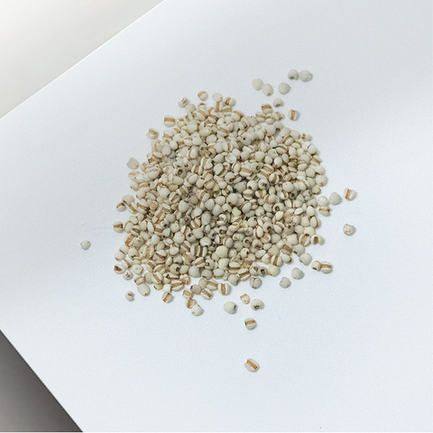 Sai Hing Dried Chinese Barley 世兴中国薏米 400g / 1kg