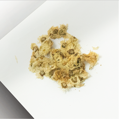 Sai Hing Double Deer Brand Chrysanthemum 世兴双鹿牌黄菊花 80g