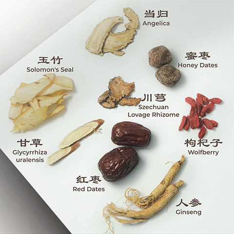 世兴人参鸡汤 110克 (2-3人份)