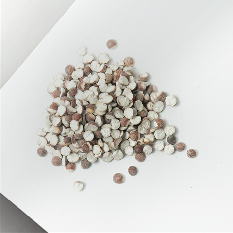 Sai Hing Gordon Euryale Seeds 世兴特选芡实 300g