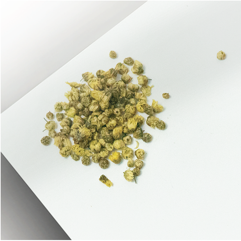 Sai Hing Hang Zhou Fetal Chrysanthemum 世兴杭州胎菊
