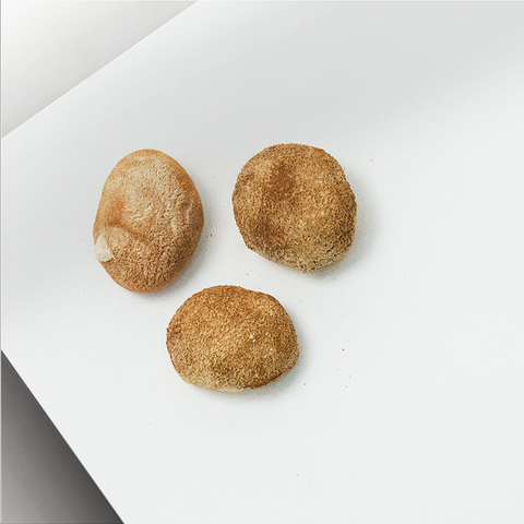 Sai Hing Lion’s Mane Mushroom 世兴猴头菇 50g