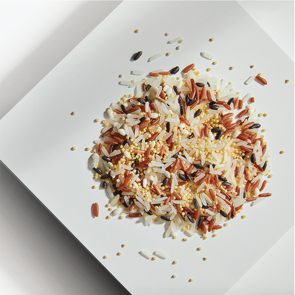 Sai Hing Mixed Grain Healthy Grain 世兴五谷养生米