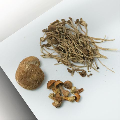 Sai Hing Mushrooms Family 世兴菇菇相伴 60g
