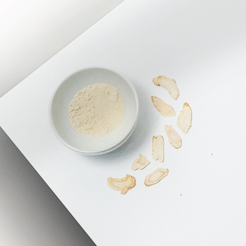 Sai Hing American Ginseng Powder 世兴花旗泡参粉 100g