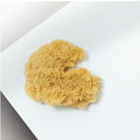 Sai Hing Snow Fungus 世兴花雪耳 80g