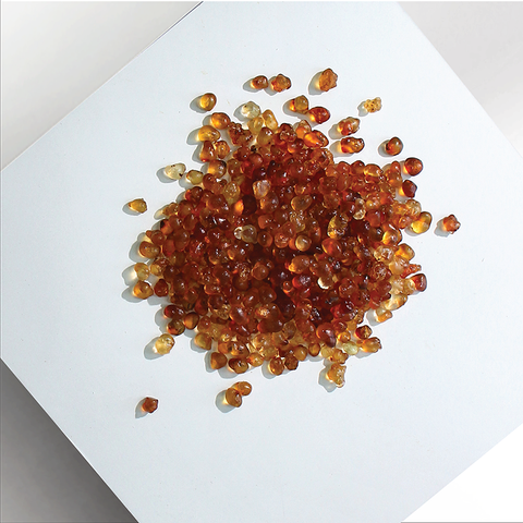 Sai Hing Superior Pearl Peach Gum 世兴珍珠桃胶 300g / 500g