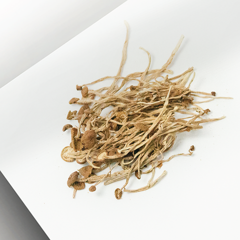 Sai Hing Tea Tree Mushroom 45g