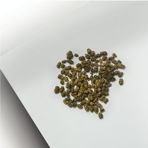 Sai Hing Wild Premium ShiHu Dendrobium 世兴野生霍山铁皮石斛 50g