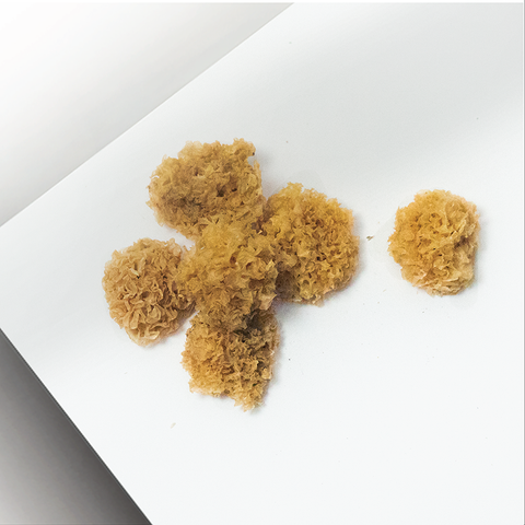 Sai Hing Zhangzhou Snow Fungus (Second graded) 世兴漳州乙雪耳 50g