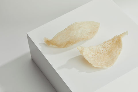 Sai Hing 100% genuine Premium Graded Cave Bird’s Nest 世兴特选白官洞燕 80g