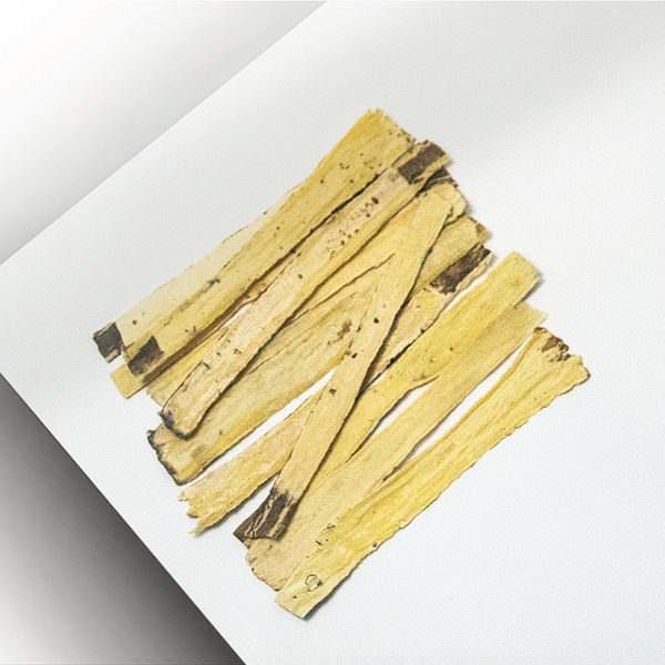 Sai Hing Superior Grade Beiqi (Astragalus Root) 世兴八寸北芪, 黄芪 300g