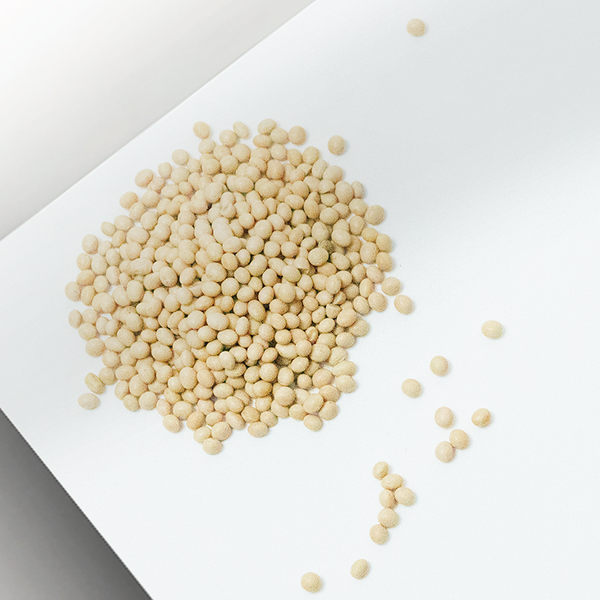 Sai Hing Soy Bean 世兴黄豆 400g / 1kg